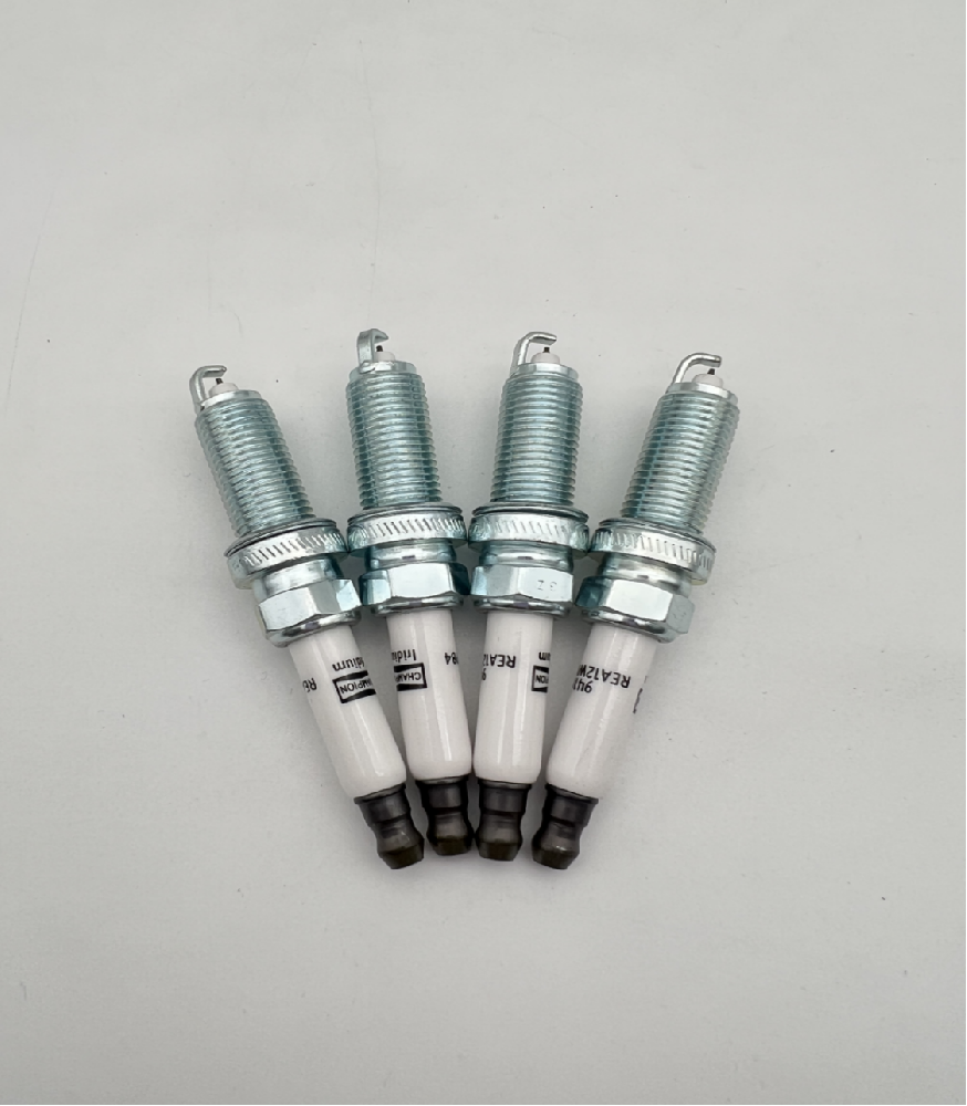 Champion- REA12WMPB4