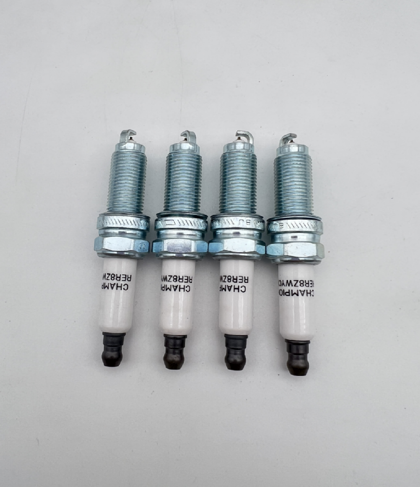 Champion- RER8ZWYCB4